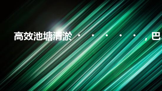 高效池塘清淤，巴洛仕設(shè)備助您一臂之力